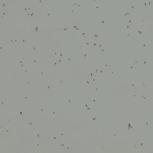 Vinyl flooring Lebanon