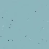 Vinyl flooring Lebanon